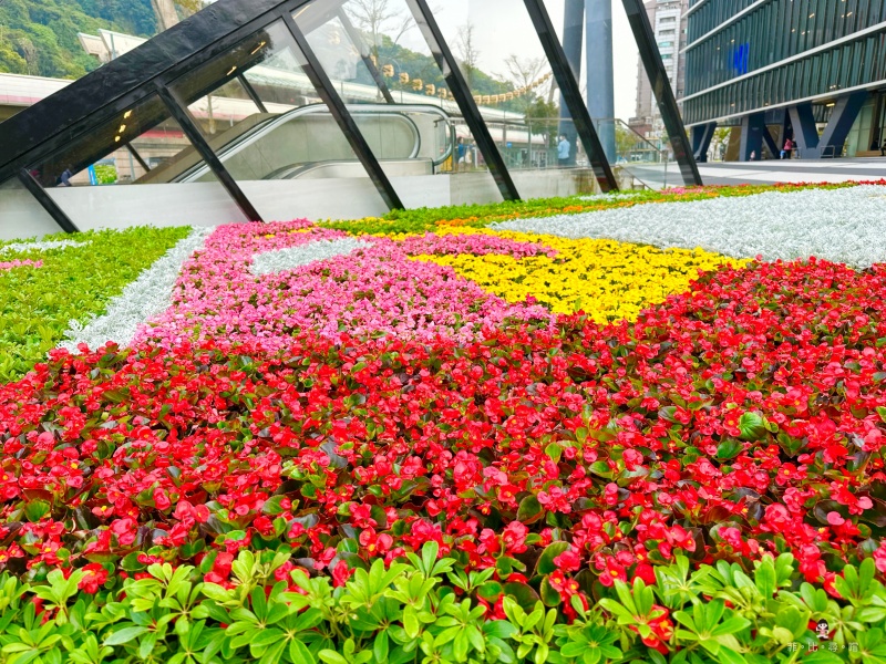 一出捷運就到！2023台北花節之城市花毯「花現蝶舞」3萬盆花卉打造 賞花免門票 周末來拍照打卡囉！ @兔貝比的菲比尋嚐