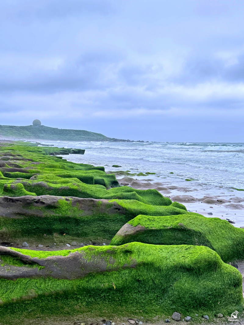 石門老梅綠石槽 全台唯一 北海岸春季限定宛如天然的抹茶地毯！ @兔貝比的菲比尋嚐