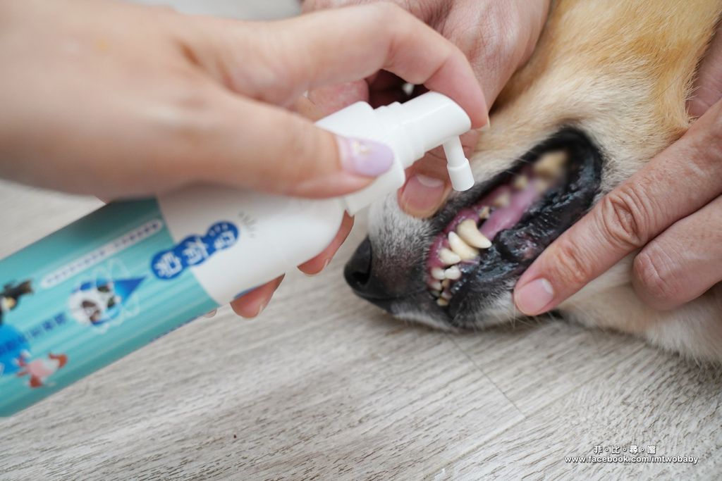 沒有臭！滅菌液-狗寶貝專用+醫療潔牙凝露 寵物居家清潔/牙齒保健 改善氣味還你香香狗！ @兔貝比的菲比尋嚐